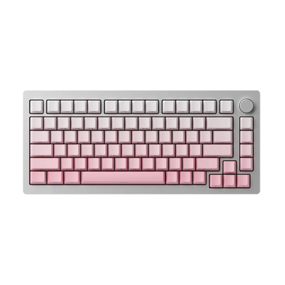 MonsGeek M1W เคสอลูมิเนียม Side printed