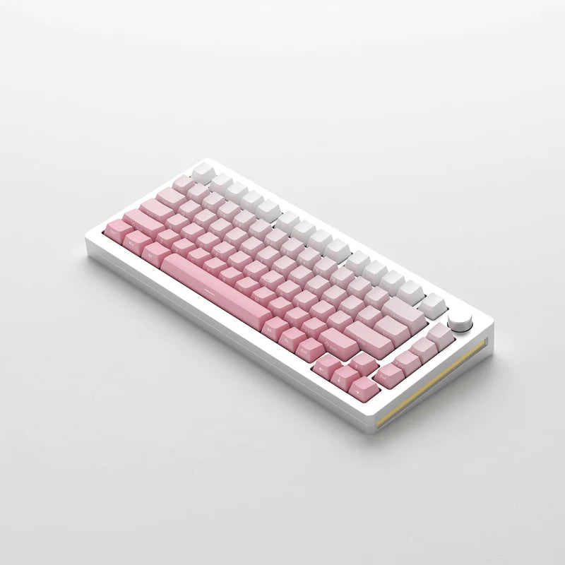 MonsGeek M1W เคสอลูมิเนียม Side printed