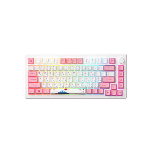 AKKO MOD007B PC Tokyo