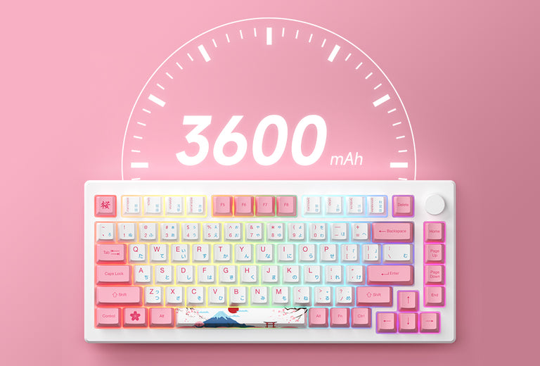 AKKO MOD007B PC Tokyo