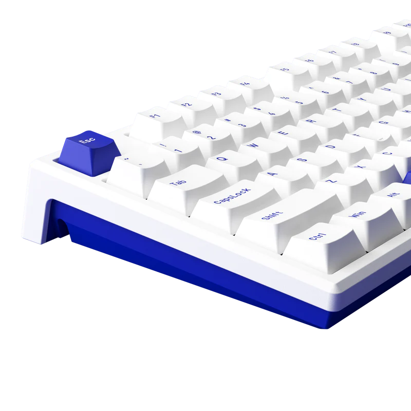 MonsGeek MG108B Blue on White
