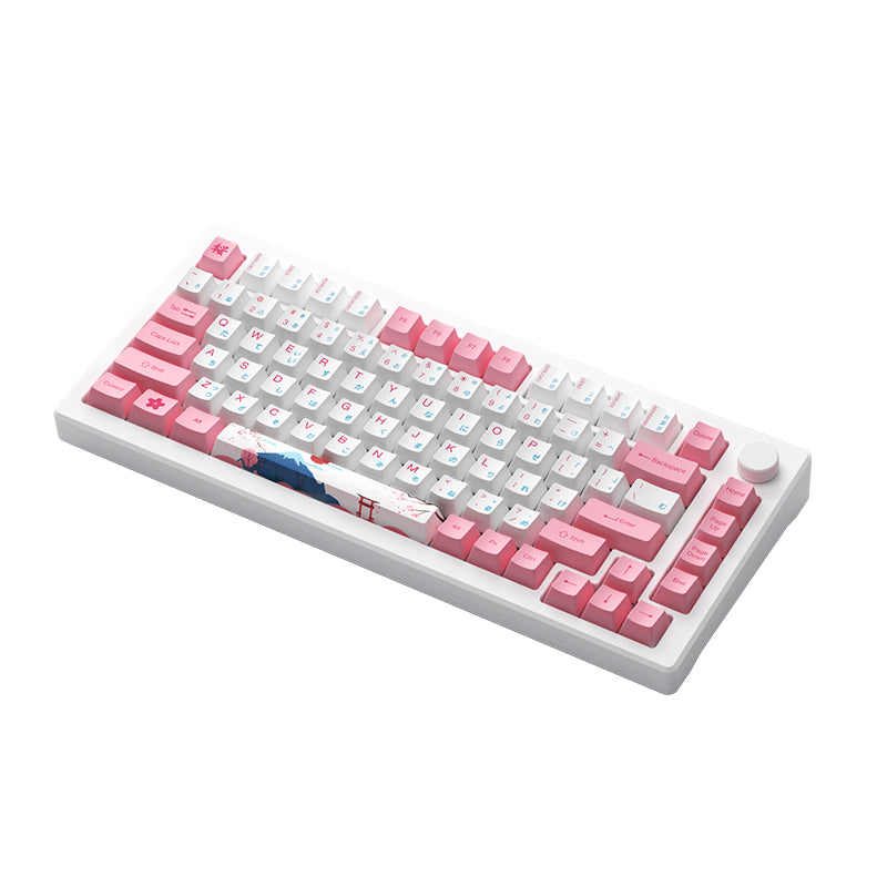 AKKO MOD007B PC Tokyo